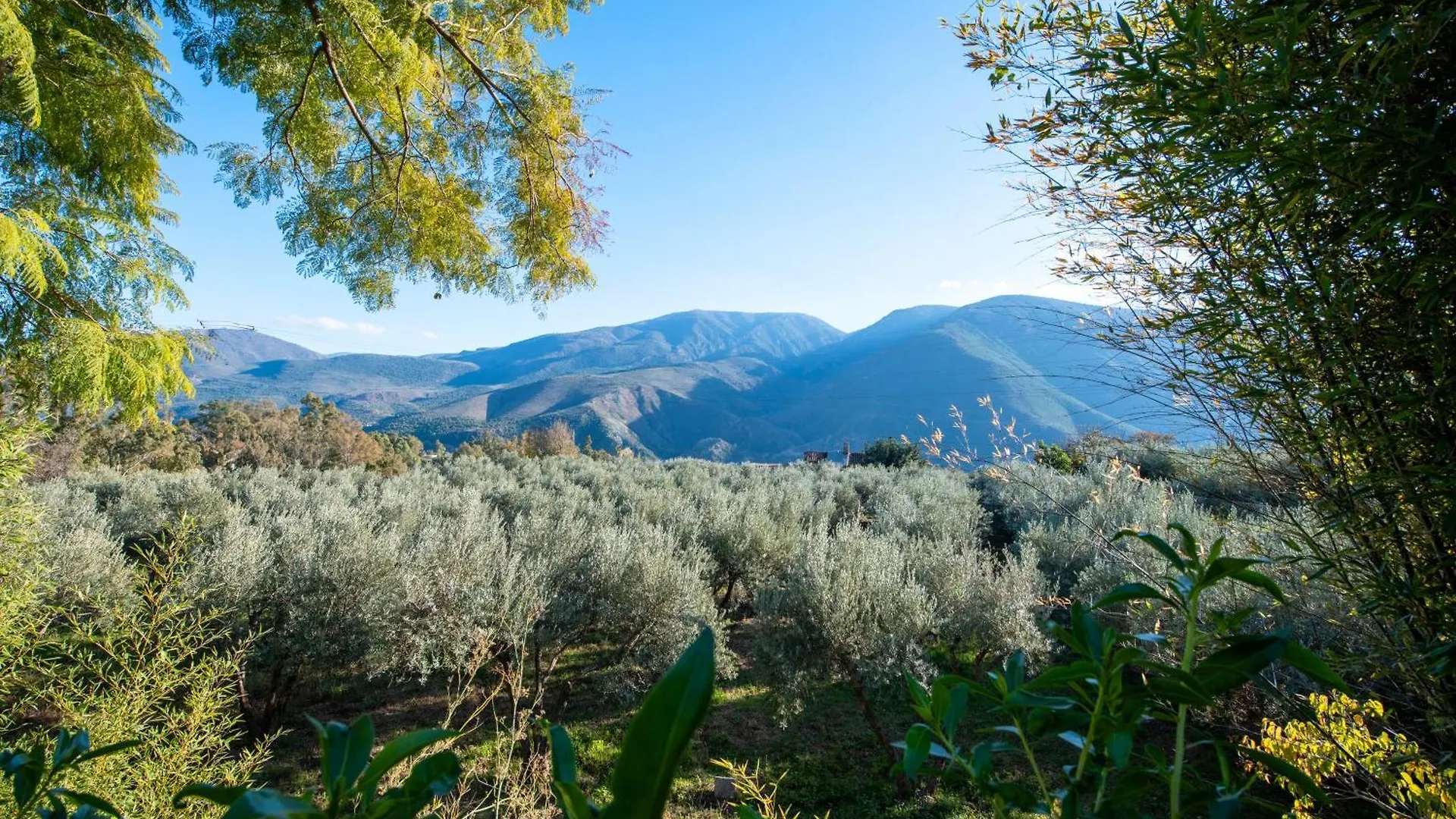 Cortijo Cabra Montes Villa Orgiva